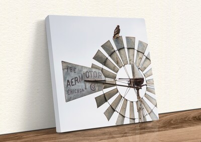Old windmill canvas wall art, modern farmhouse decor, rustic dining room, kitchen wall art, red tailed hawk photo - image3